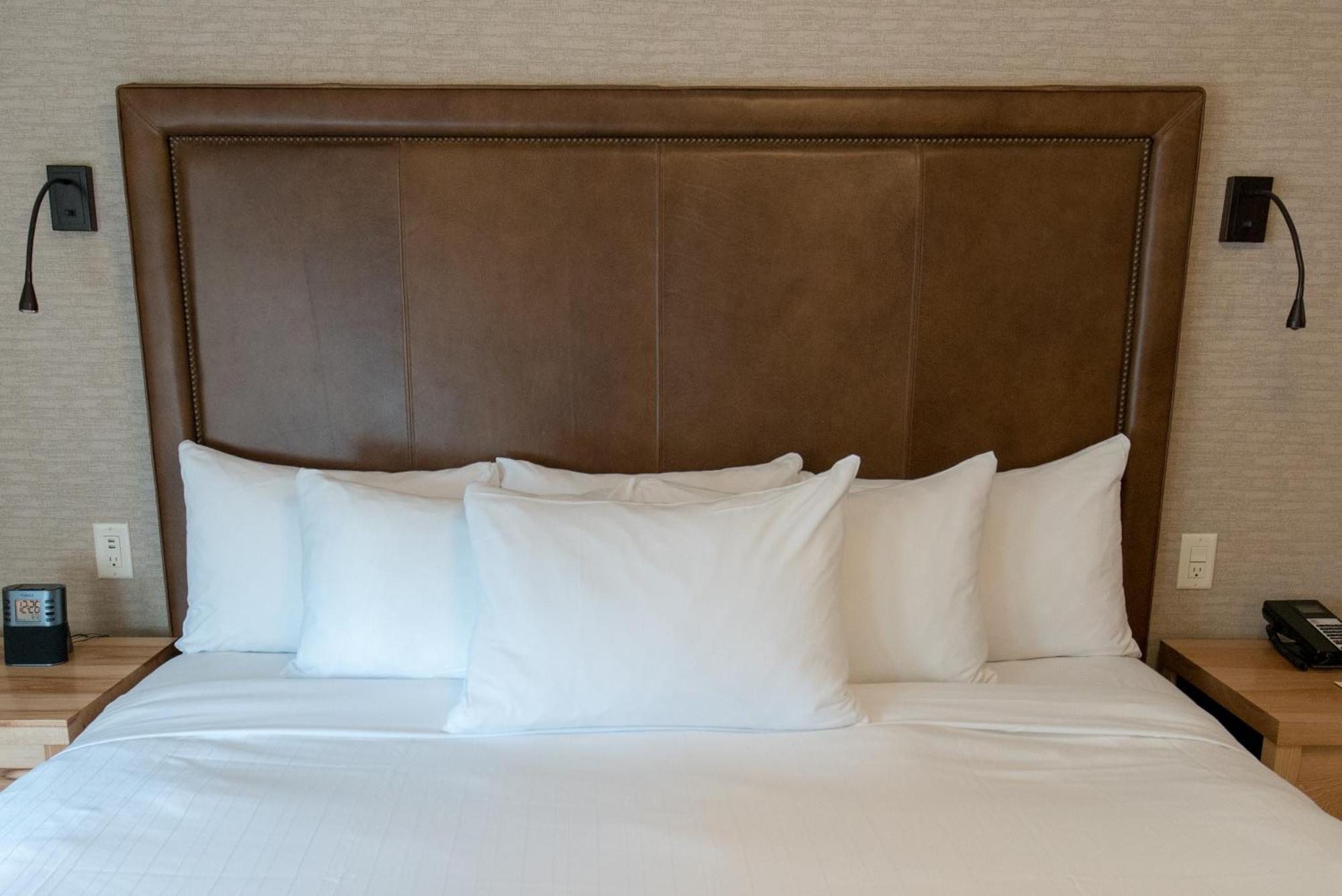 Suite 1 Chambre Lit King-Size
